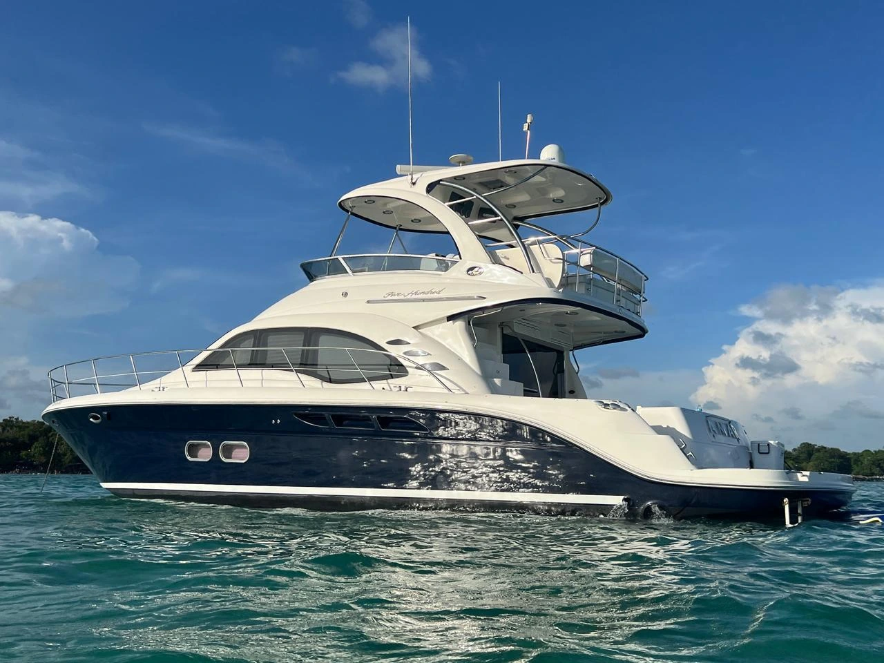 Sea Ray Sedan Bridge 55 captained boat rental near Haulover Sandbar